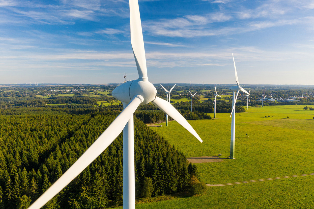 Windräder in einer Naturlandschaft