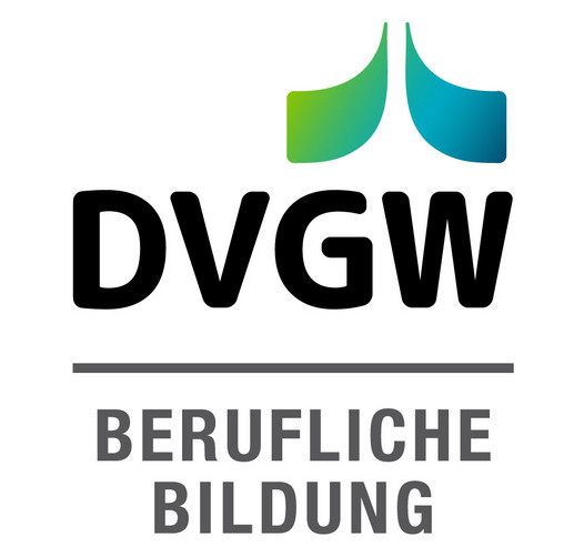 In der oberen Bildhälfte stehen über dem schwarzen Schriftzug "DVGW" ein nach links ausschwingender grüner und nach rechts ausschwingender blauer "Flügel". In der unteren Bildhälfte, nach oben durch einen grauen Strich getrennt, steht in Grau der Schriftzug "Berufliche Bildung"