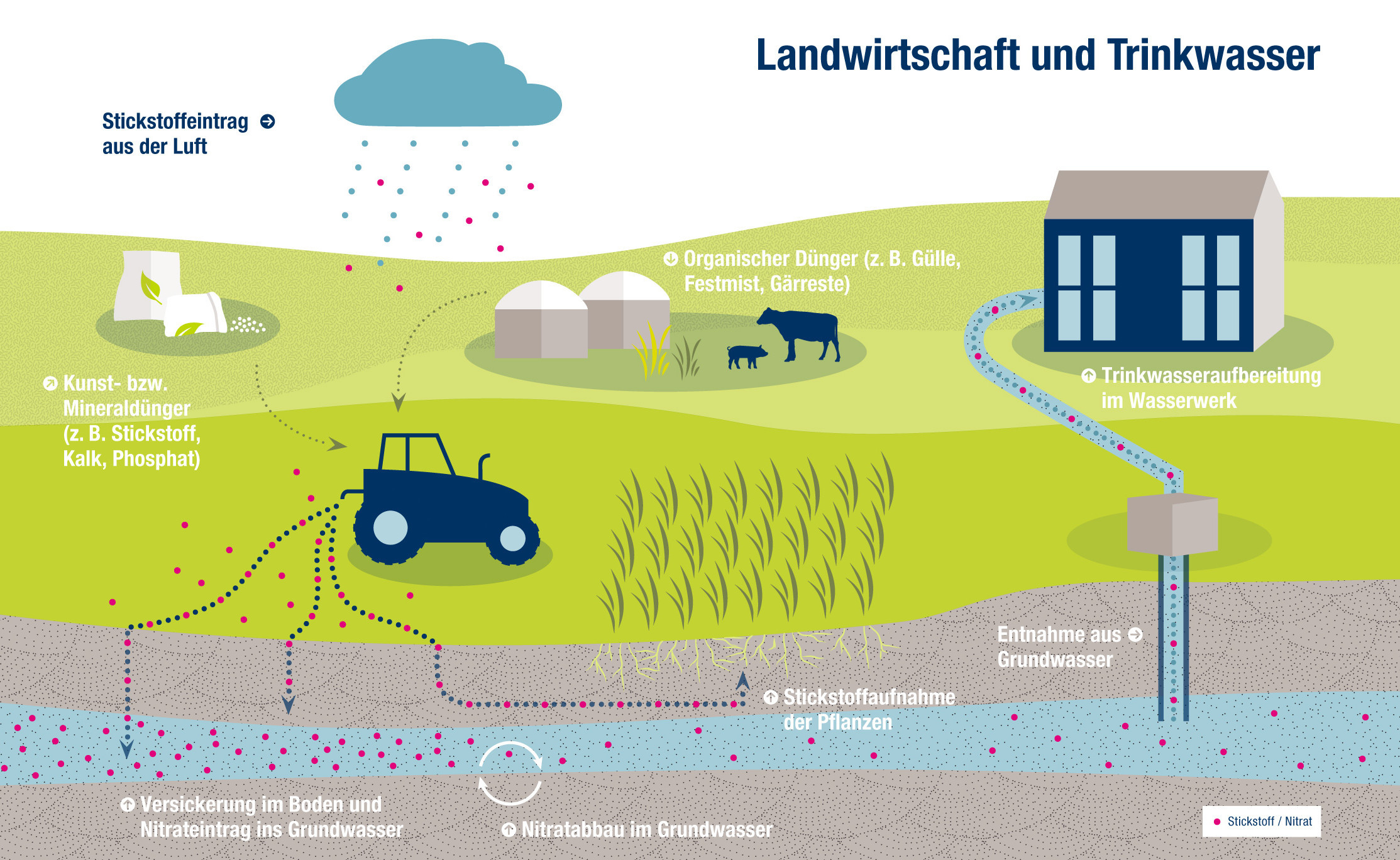 Nitrat gelangt durch landwirtschaftliche Einflüsse in das Grundwasser