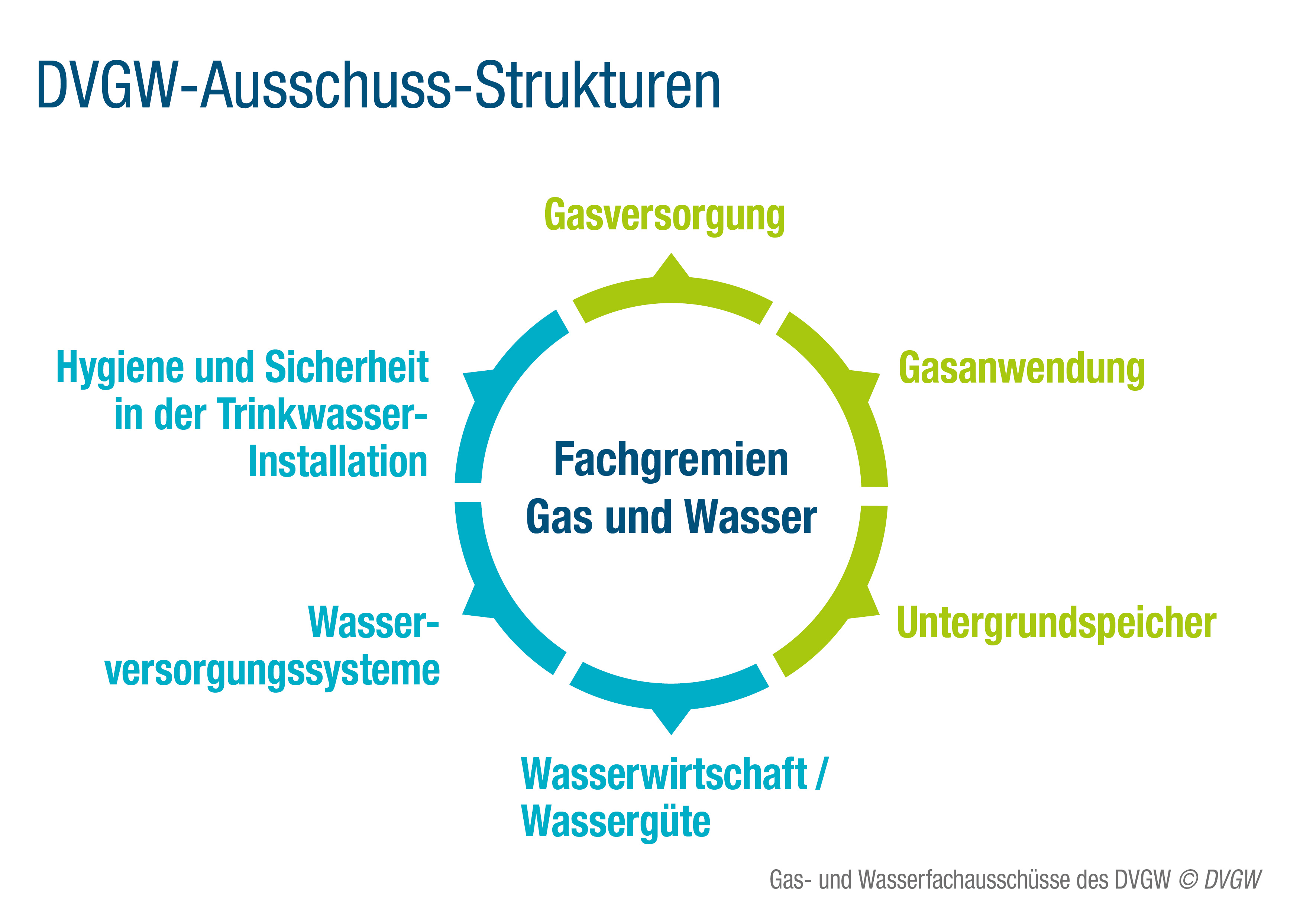 Grafik mit den Fachausschüssen: Gasversorgung; Gasanwendung; Untergrundspeicher; Wasserwirtschaft, Wassergüte; Wasserversorgungssysteme; Hygiene und Sicherheit in der Trinkwasser-Installation